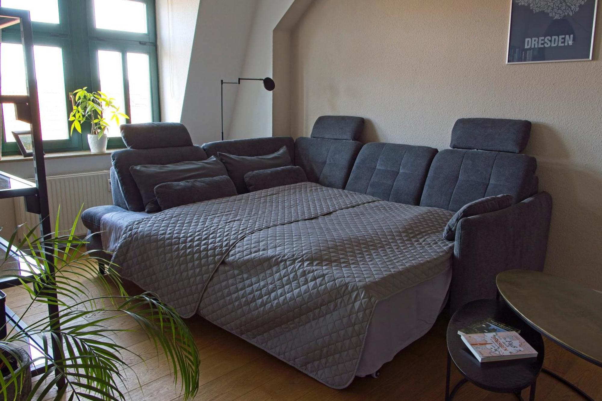 Neustadt-Aussicht - Grosse Wohnung Mit Balkon Dresden Eksteriør bilde